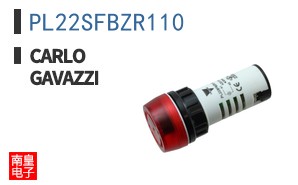 PL22SFBZR110 ͼƬ